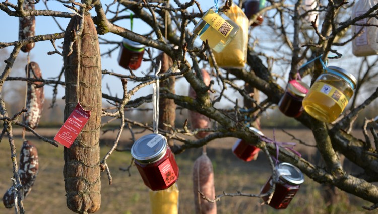 CONSEGNE A DOMICILIO dei prodotti della nostra bottega a KM0