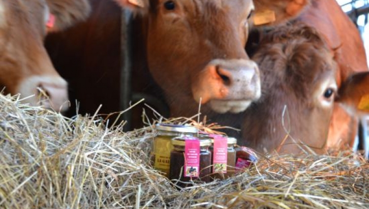 CARNI BOVINE razza limousine di nostra produzione